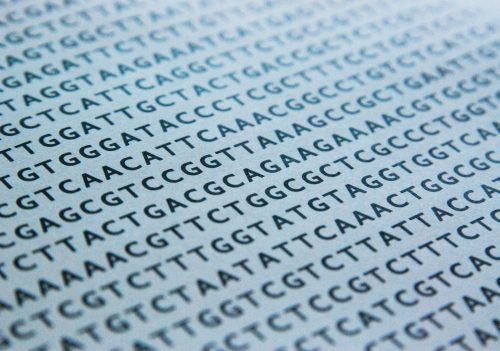 dna-sequence-1570578